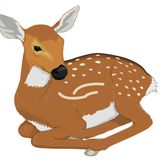 De Kikker, De Vos en Het Ree | Onbekende Sprookjes