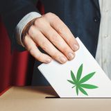 Bocciato il Referendum Cannabis: e questa voi la chiamate democrazia