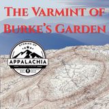 The Varmint of Burkes Garden