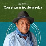 Con el permiso de la selva