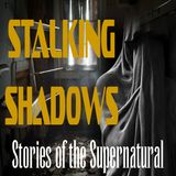 Stalking Shadows | Interview with Debi Chestnut | Podcast
