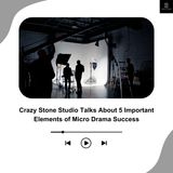 Crazy Stone Studio Talks About 5 Important Elements of Micro Drama Success