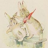 El cuento del conejo malo y feroz | Cuentos De Conejos
