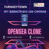 Through This Blog, Get To Know The Diverse Solutions Of White-Label Opensea Clone Development And Adhere To The Thriving Crypto Market