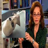 Linda Moulton Howe's latest hoax EXPOSED!