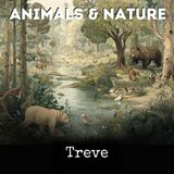 015 - CHAPTER X PICTURES MADE BY LIGHTNING Part 2