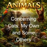 Concerning Cats My Own and Some Others - Helen M Winslow