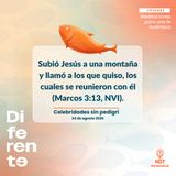 Celebridades sin pedigrí ~ Devocional de Jóvenes ~ 24 de agosto 2026