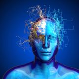 Più allenati, più intelligenti (o quasi).