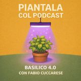 EP 8 - BASILICO 4.0 CON FABIO CUCCARESE