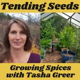 Ep 43 - Growing Spices with Tasha Greer