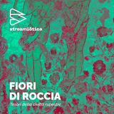 Ep. 4 - Santa Maria de Idris e San Giovanni in Monterrone