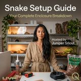 Snake Setup Guide - Discover the perfect habitat with Juniper Snout