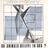 Pink Military - Did You See Her?