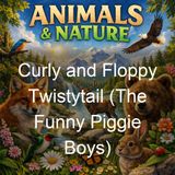 Curly and Floppy Twistytail The Funny Piggie Boys - Howard R Garis