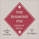 18 - Diamond Pin by Carolyn Wells