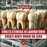 Svolta Storica In Laboratorio: Creati Denti Umani Da Zero!