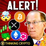 HUGE! CENTRAL BANK TO INVEST IN CRYPTO & FLORIDA STABLECOIN BILL PASSES!