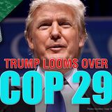 Trump Looms Over COP 29 - The Climate Realism Show #127