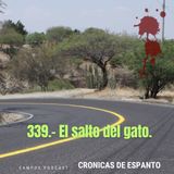 339.- El aparecido del salto del gato.