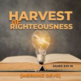 Harvest of Righteousness [Morning Devo]