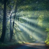 L'udito e i suoni della natura - Meditazione 3