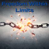 Freedom Within Limits Intro, The Beginning, & Act 1