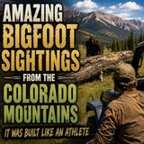 A LIFETIME OF SASQUATCH ENCOUNTERS IN COLORADO | THE SASQUATCH WAS HIDING BEHIND A LOG