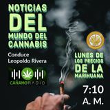 Noticias del mundo del Cannabis 01 marzo 2021