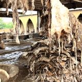 Cuir, justice et musique (Le Niger sur Kalangou)