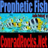 Prophetic Fish - Walking in the Spirit