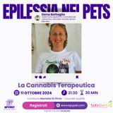 Cannabis Terapeutica nella gestione dellepilessia di cani e gatti