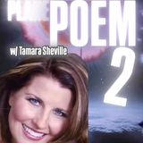 LEVEL PLANE POEM 2! w/ Tamara Sheville & Trebles Garcia