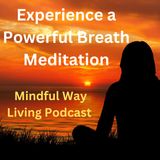 Experience a Powerful Breath Meditation