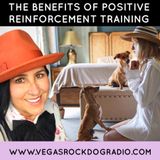 Reasons To Adopt Positive Reinforcement Training Methods