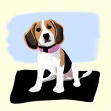 Benny's eerste dag op puppycursus | Verhalen over Honden