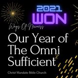 Our Year Of The Omni Sufficient
