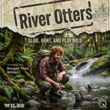 River Otters - Dive into the wild waters with Ranger Theo Wilder