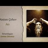 Çehov'dan öykü - ACI