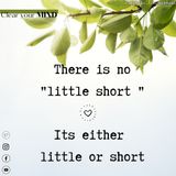 There is no little short. Its either little or short.
