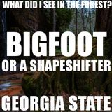 Bigfoot Encounter On The East Coast | This Juvenile Morphed Into Something Else (ShapeShifter?)