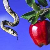 I peccati che portano piu all'inferno sono quelli contro la purezza