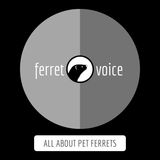 Ferret Flea Treatment (A Complete Guide)