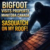 VENICE JOSE MANITOBA CANADA