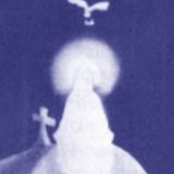 FILMATA, FOTOGRAFATA, REALE: il MISTERO di Zeitoun che sfida la scienza