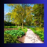 #203 Giardinaggio creativo: struttura, passione e orto ornamentale