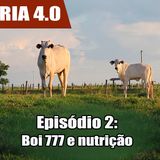 Websérie: Agropecuária 4.0 EP 02 - Como atingir o Boi 777
