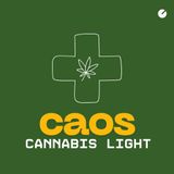 Cannabis light: viaggio nel caos, fra leggi e storie
