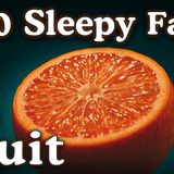 The Most Relaxing Facts About Cactus to Fall Asleep To _ No Adverts