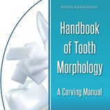 Handbook of Tooth Morphology: A Carving Manual (Dentistry and Oral Sciences)